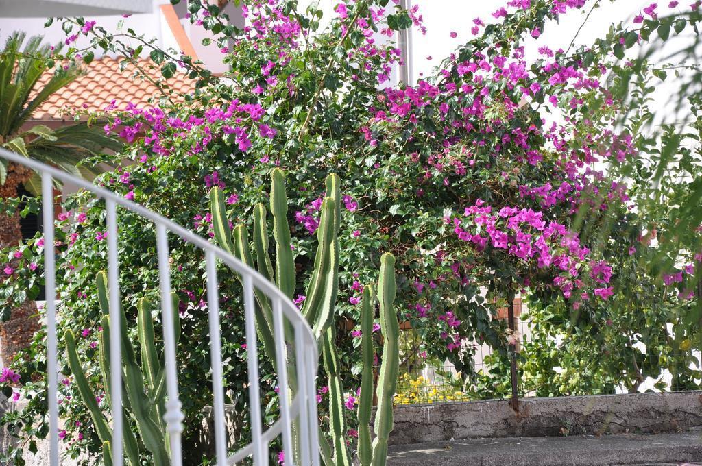 Villa Sea Rose Липари Экстерьер фото